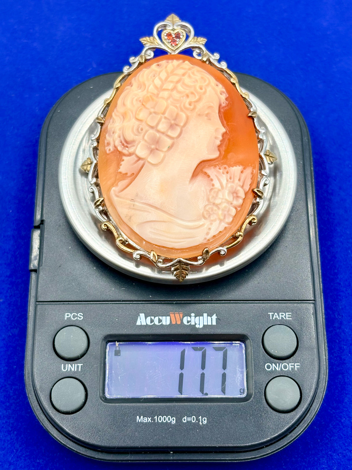 Sterling Silver & Ruby Shell Cameo Brooch/Pendant