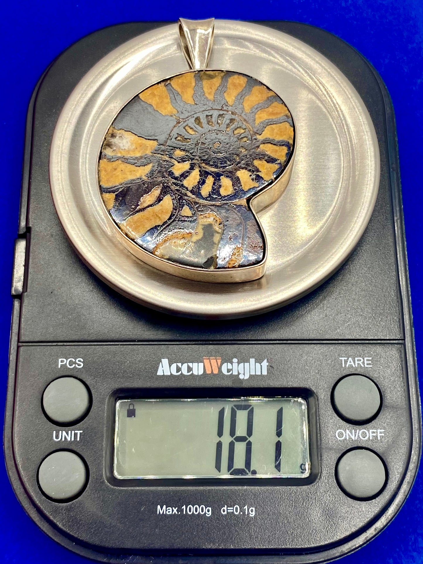 Vintage Sterling Silver Fossil Ammonite Pendant