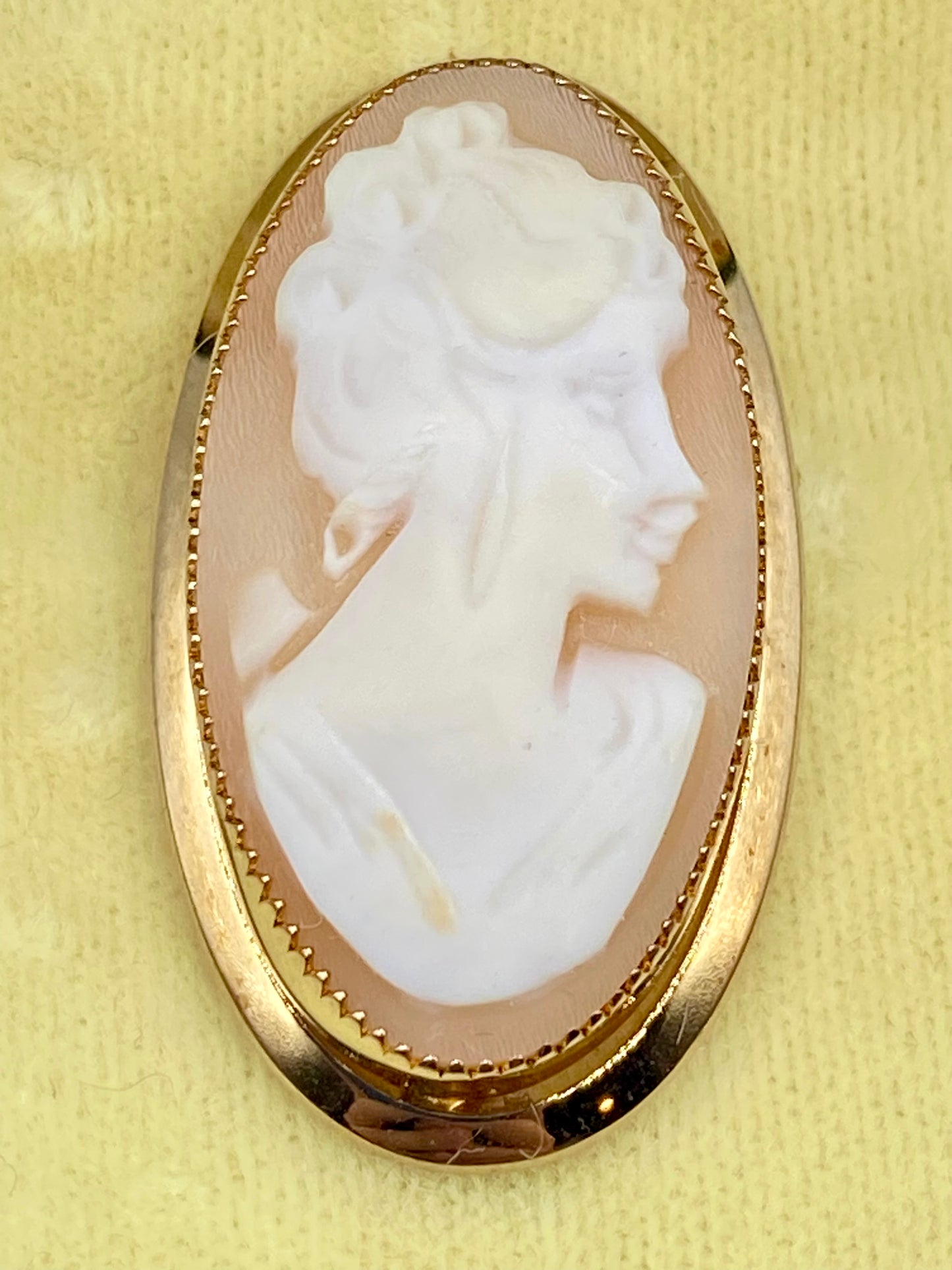 1/20 12K Gold Filled Shell Cameo Brooch