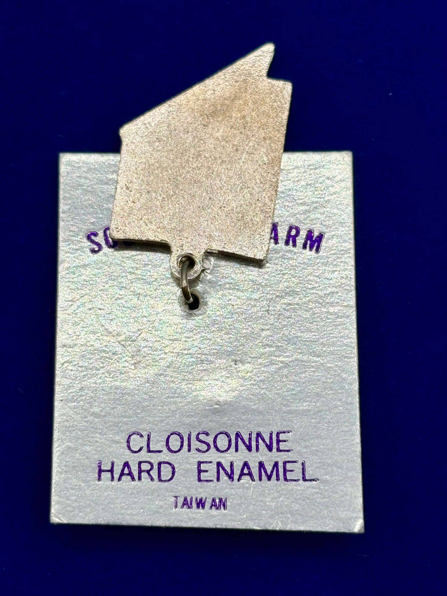 NWT Vintage Nevada State Enameled Charm