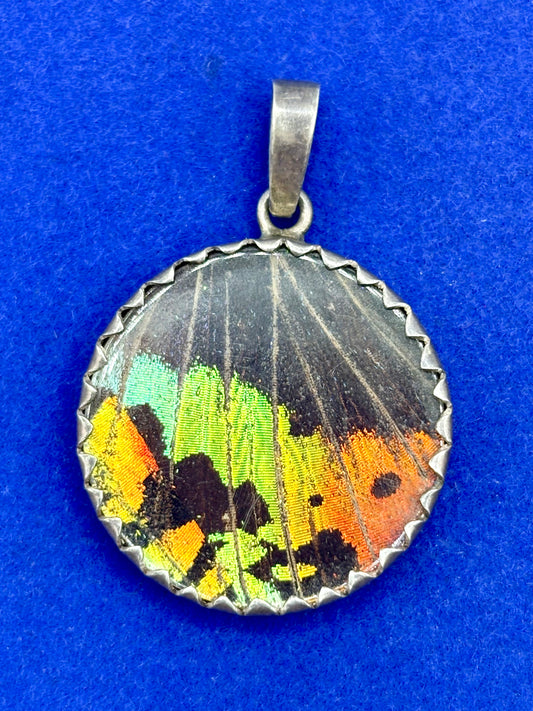 Real Handmade Butterfly Wing Sterling Silver Pendant
