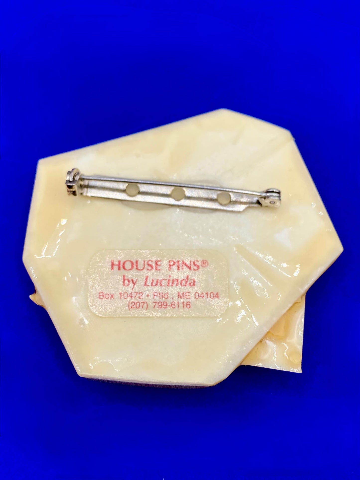 Lucinda House Pin