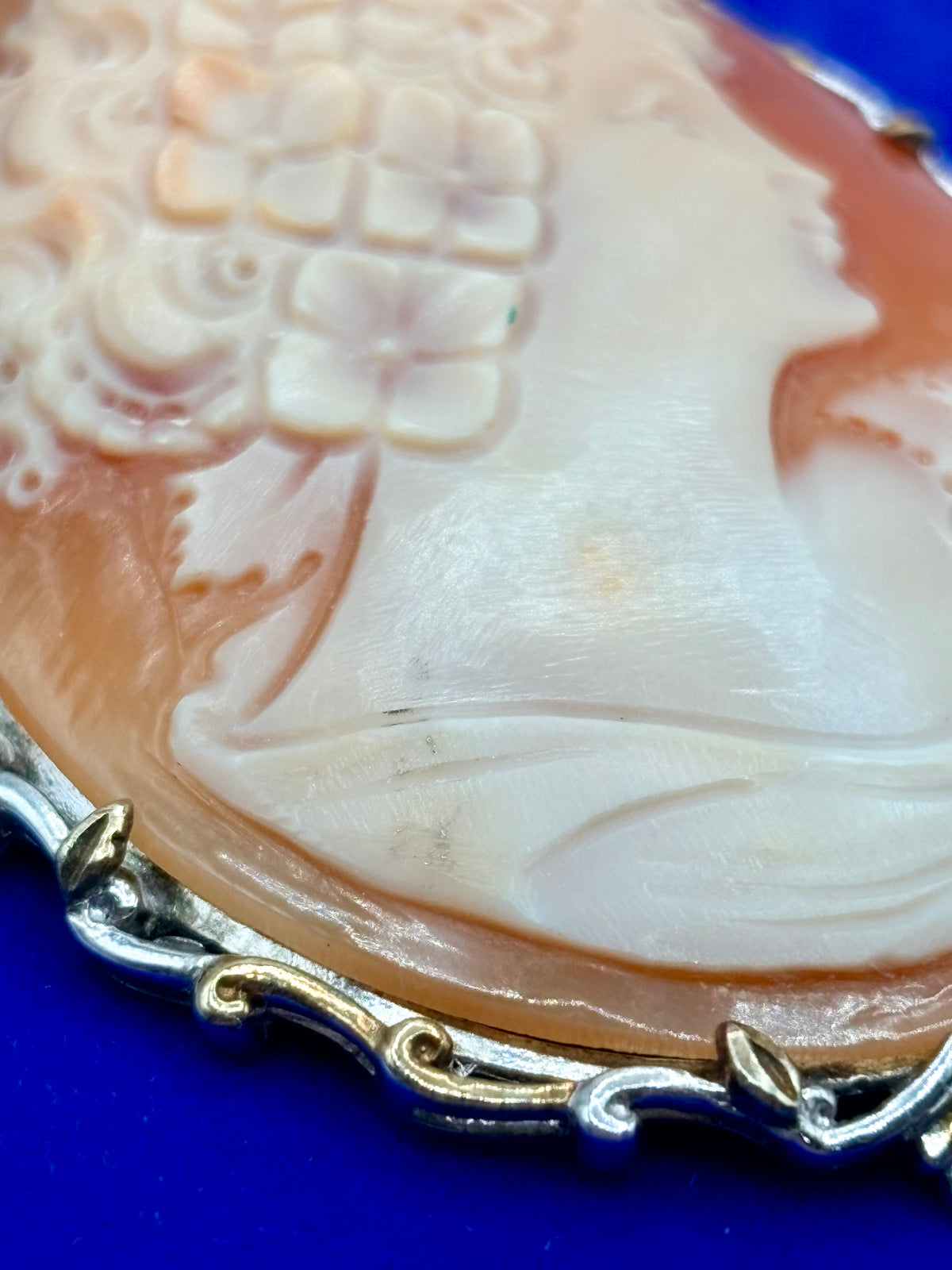 Sterling Silver & Ruby Shell Cameo Brooch/Pendant