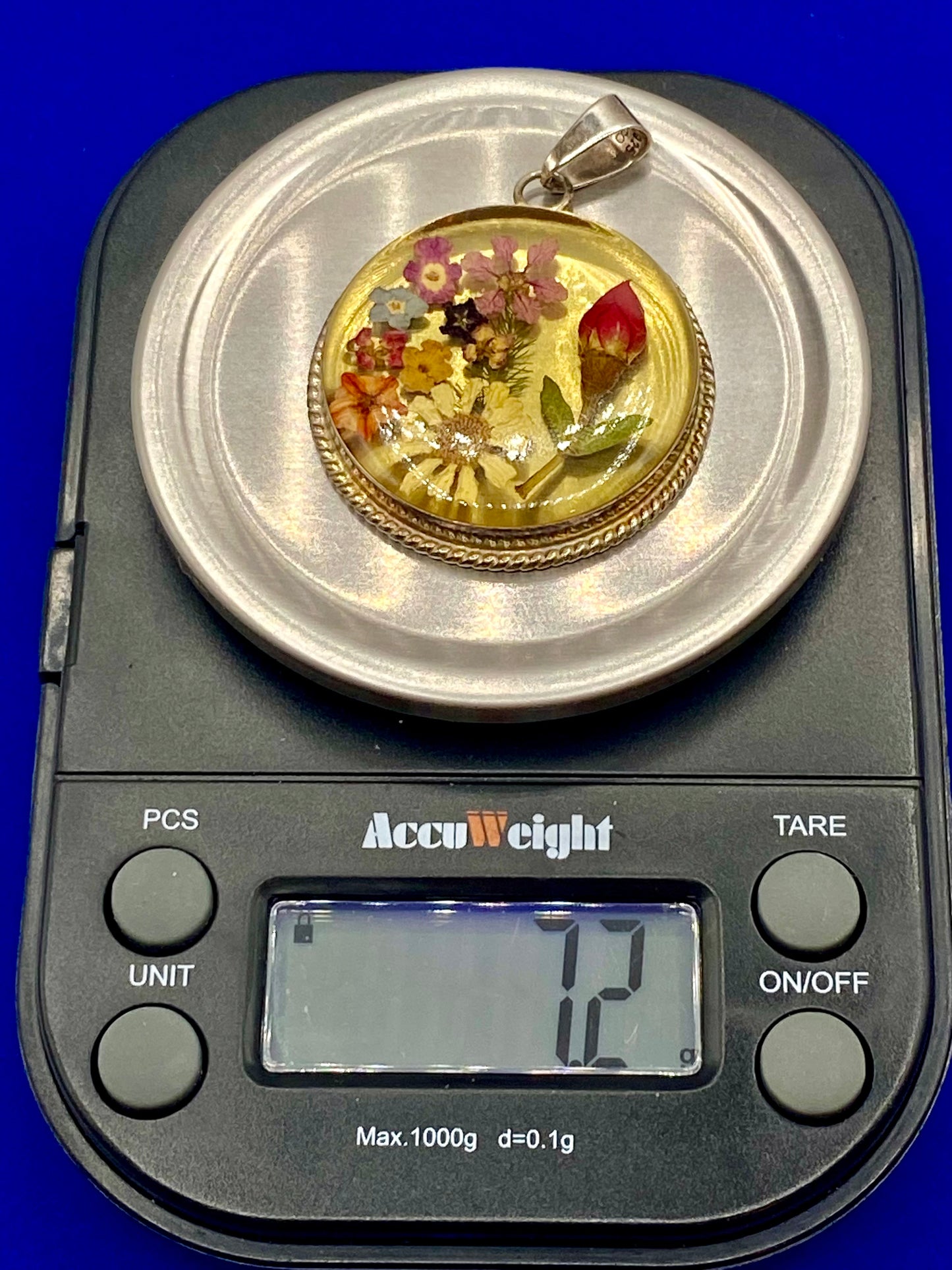 Pressed Flower Terrarium Pendant