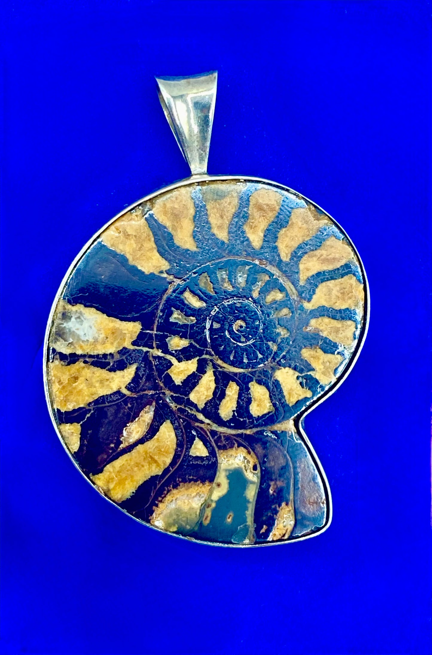 Vintage Sterling Silver Fossil Ammonite Pendant