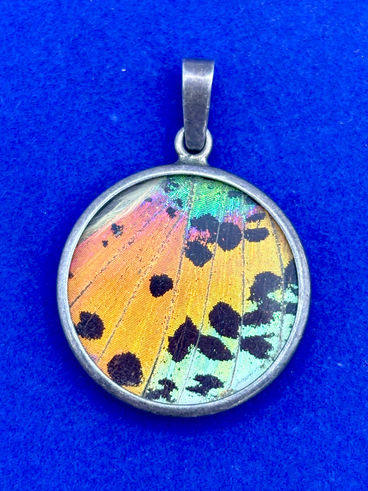 Real Handmade Butterfly Wing Sterling Silver Pendant
